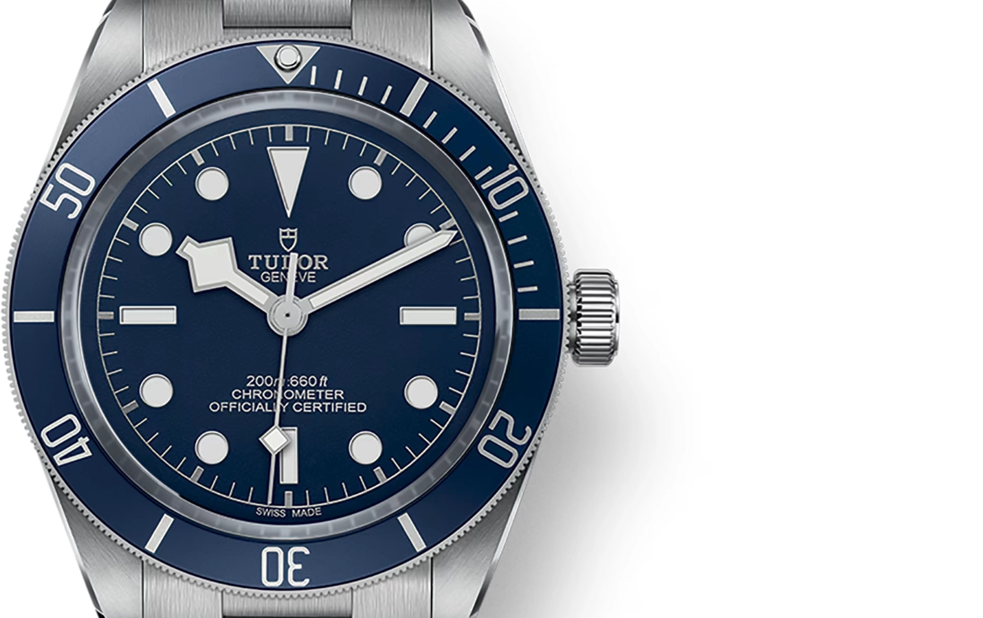 Tudor Black Bay M79030B-0001 WatchProject 21 Shop